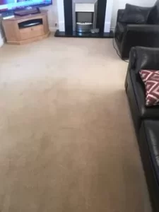 Carpet Cleaning in Basingstoke