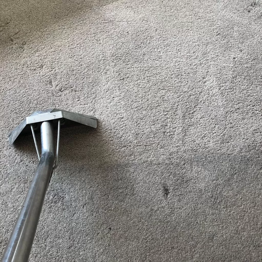 Carpet Cleaning Tadley